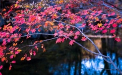 一大家子换着玩